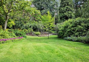 Optimiser l'expérience du jardin à Bellegarde-en-Diois